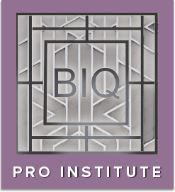 BIQ Pro Institute