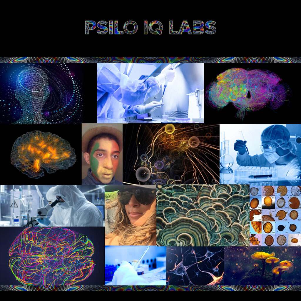 Psilo IQ Labs Collage | Rhonda Coleman Albazie